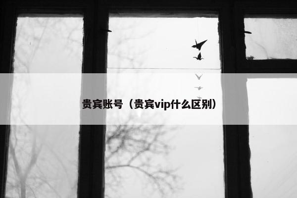 贵宾账号（贵宾vip什么区别）