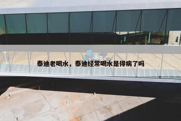 泰迪老喝水，泰迪经常喝水是得病了吗