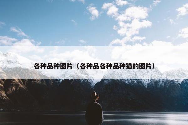 各种品种图片（各种品各种品种猫的图片）