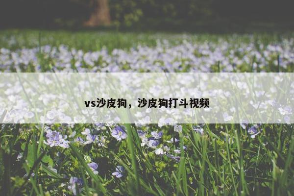 vs沙皮狗，沙皮狗打斗视频