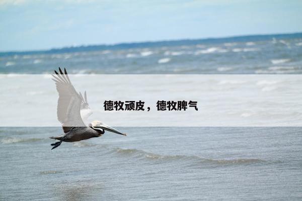 德牧顽皮，德牧脾气
