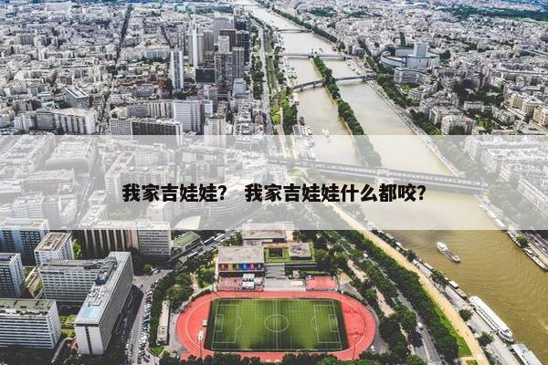 我家吉娃娃？ 我家吉娃娃什么都咬？