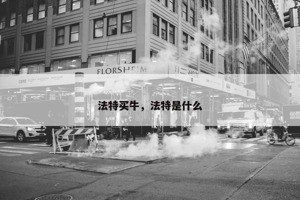 法特买牛，法特是什么