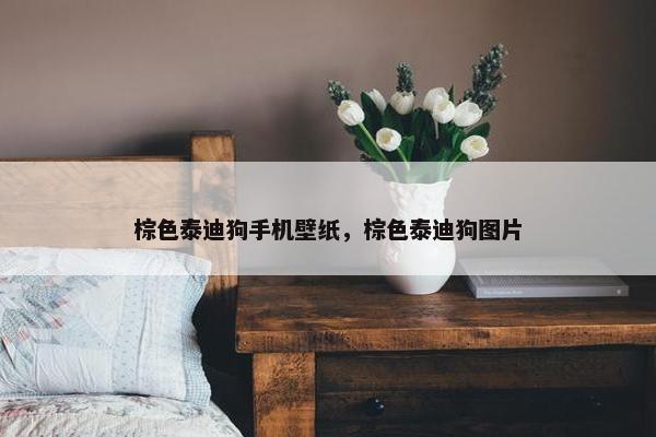 棕色泰迪狗手机壁纸，棕色泰迪狗图片