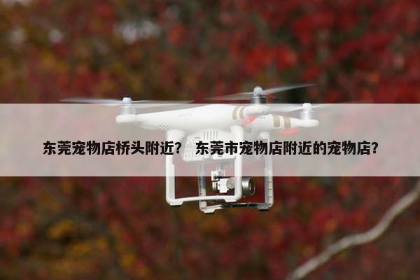 东莞宠物店桥头附近？ 东莞市宠物店附近的宠物店？
