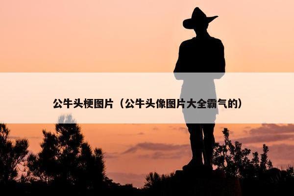 公牛头梗图片（公牛头像图片大全霸气的）