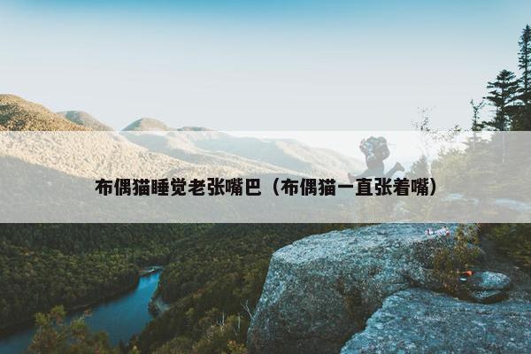 布偶猫睡觉老张嘴巴（布偶猫一直张着嘴）