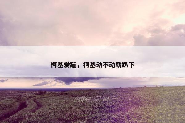 柯基爱蹦，柯基动不动就趴下