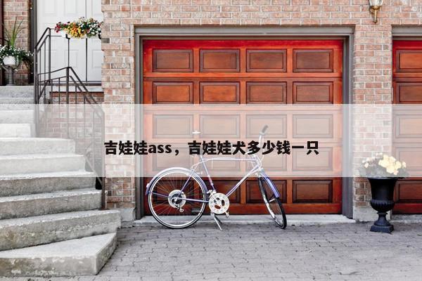 吉娃娃ass，吉娃娃犬多少钱一只