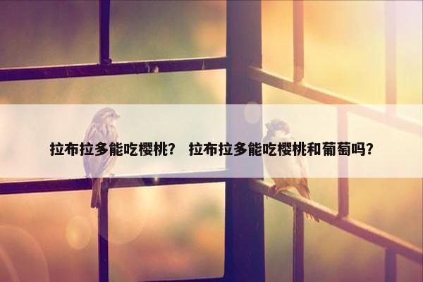 拉布拉多能吃樱桃？ 拉布拉多能吃樱桃和葡萄吗？