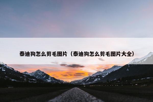 泰迪狗怎么剪毛图片（泰迪狗怎么剪毛图片大全）