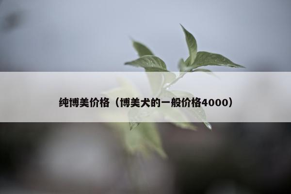 纯博美价格（博美犬的一般价格4000）