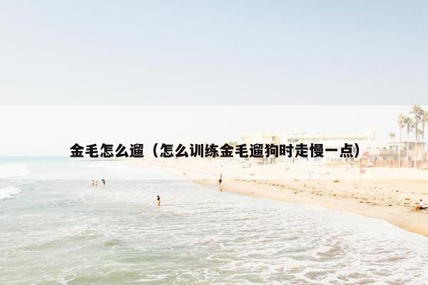 金毛怎么遛（怎么训练金毛遛狗时走慢一点）