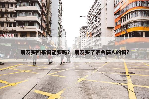 朋友买回来狗能要吗？ 朋友买了条会搞人的狗？