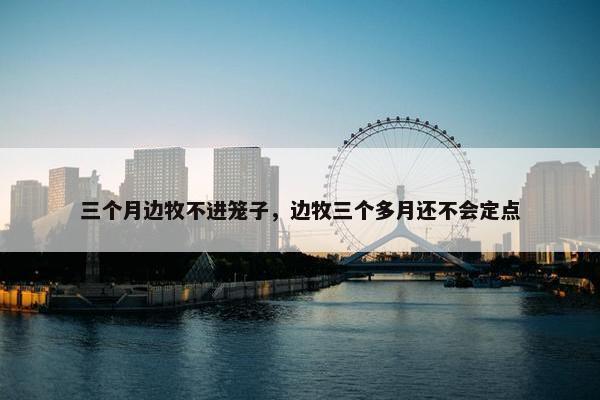 三个月边牧不进笼子，边牧三个多月还不会定点