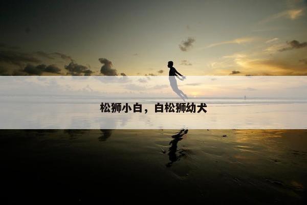 松狮小白，白松狮幼犬