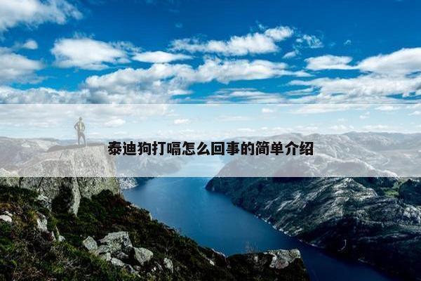 泰迪狗打嗝怎么回事的简单介绍