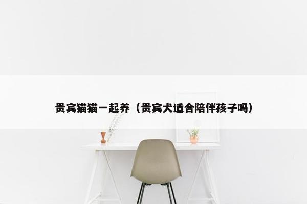 贵宾猫猫一起养（贵宾犬适合陪伴孩子吗）
