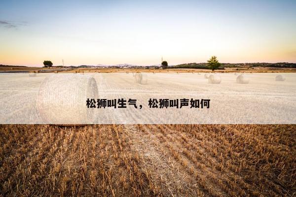 松狮叫生气，松狮叫声如何