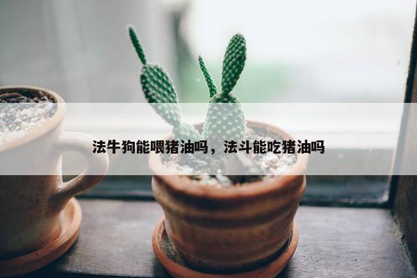 法牛狗能喂猪油吗，法斗能吃猪油吗