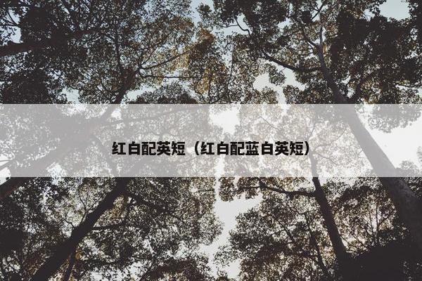 红白配英短（红白配蓝白英短）