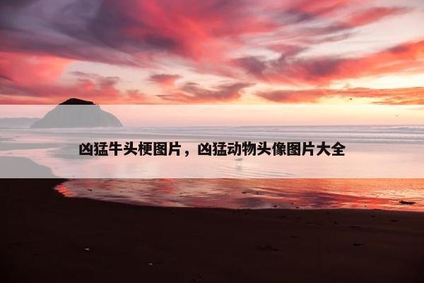 凶猛牛头梗图片，凶猛动物头像图片大全