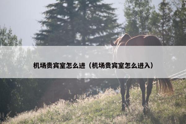 机场贵宾室怎么进（机场贵宾室怎么进入）
