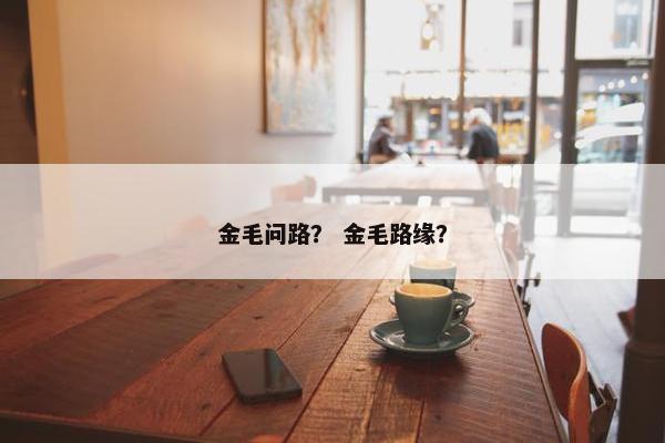 金毛问路？ 金毛路缘？