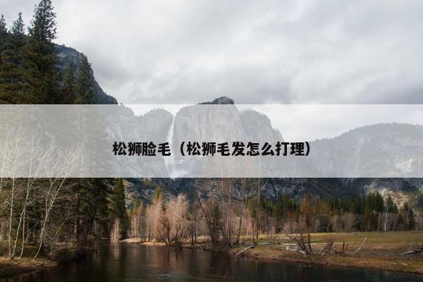 松狮脸毛（松狮毛发怎么打理）