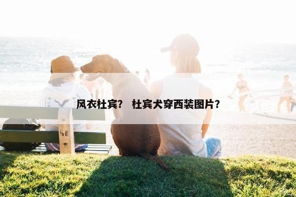 风衣杜宾？ 杜宾犬穿西装图片？