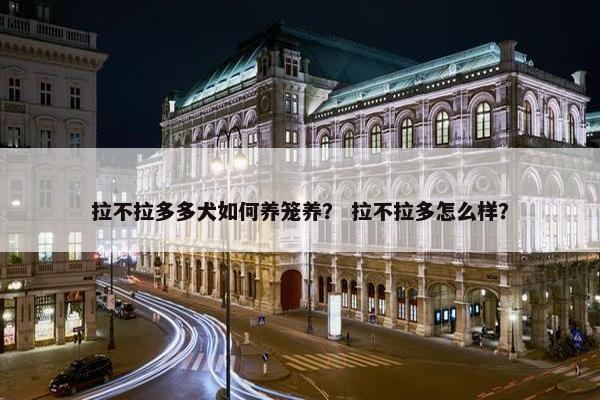 拉不拉多多犬如何养笼养？ 拉不拉多怎么样？