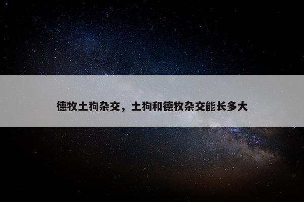 德牧土狗杂交，土狗和德牧杂交能长多大