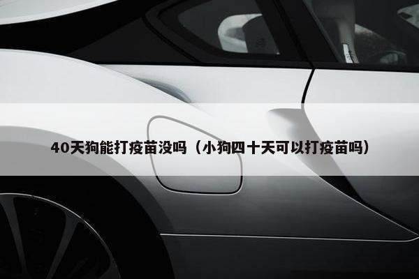 40天狗能打疫苗没吗（小狗四十天可以打疫苗吗）