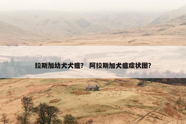 拉斯加幼犬犬瘟？ 阿拉斯加犬瘟症状图？