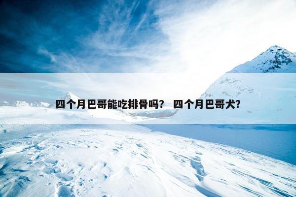 四个月巴哥能吃排骨吗？ 四个月巴哥犬？