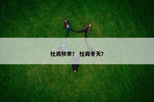 杜宾秋季？ 杜宾冬天？