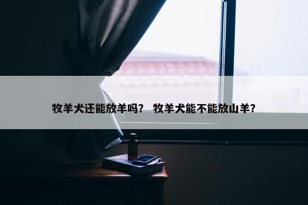 牧羊犬还能放羊吗？ 牧羊犬能不能放山羊？