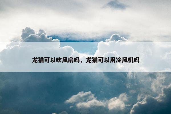 龙猫可以吹风扇吗，龙猫可以用冷风机吗