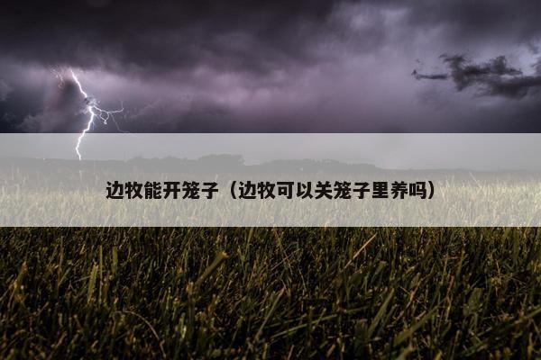 边牧能开笼子（边牧可以关笼子里养吗）