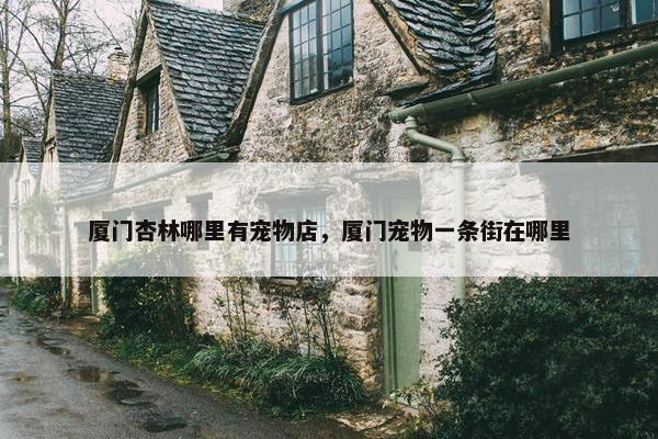 厦门杏林哪里有宠物店，厦门宠物一条街在哪里