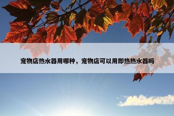 宠物店热水器用哪种，宠物店可以用即热热水器吗