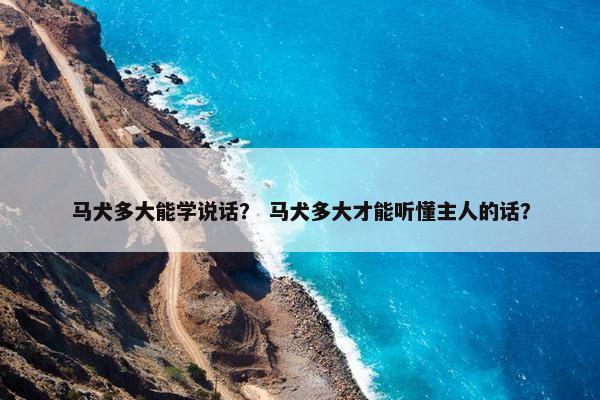 马犬多大能学说话？ 马犬多大才能听懂主人的话？