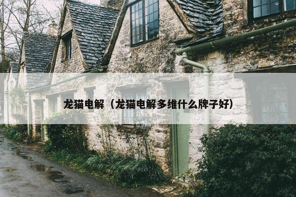 龙猫电解（龙猫电解多维什么牌子好）
