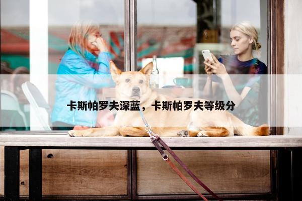 卡斯帕罗夫深蓝，卡斯帕罗夫等级分