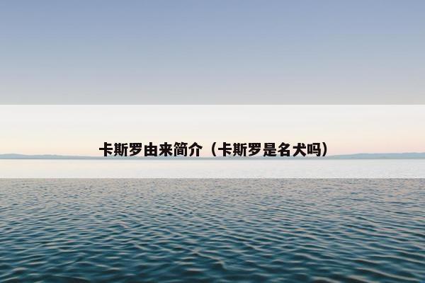 卡斯罗由来简介（卡斯罗是名犬吗）