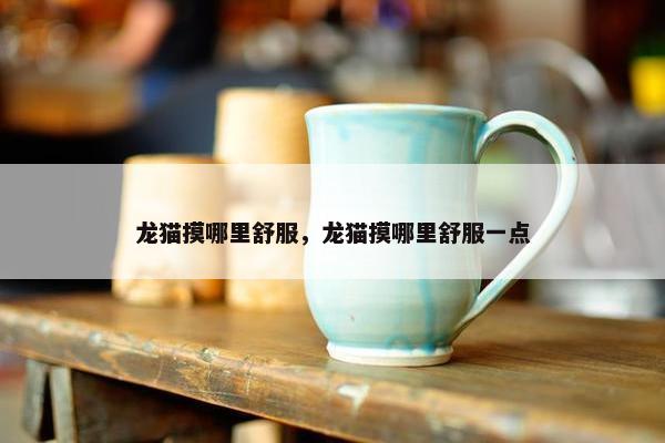 龙猫摸哪里舒服，龙猫摸哪里舒服一点