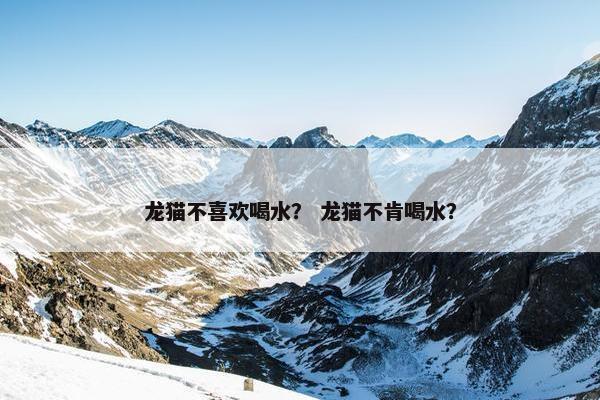 龙猫不喜欢喝水？ 龙猫不肯喝水？