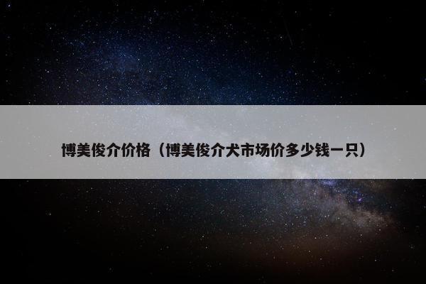 博美俊介价格（博美俊介犬市场价多少钱一只）
