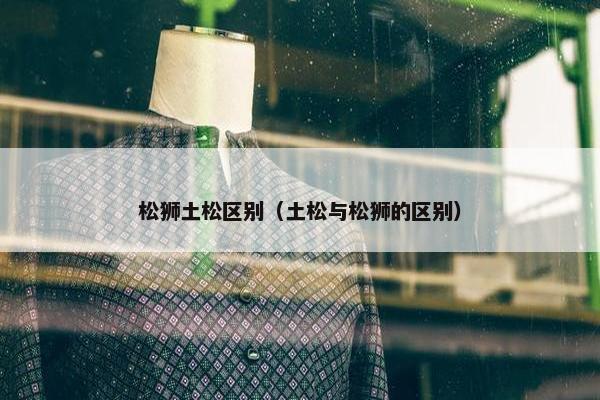 松狮土松区别（土松与松狮的区别）