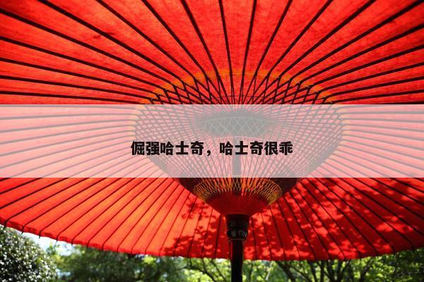 倔强哈士奇，哈士奇很乖